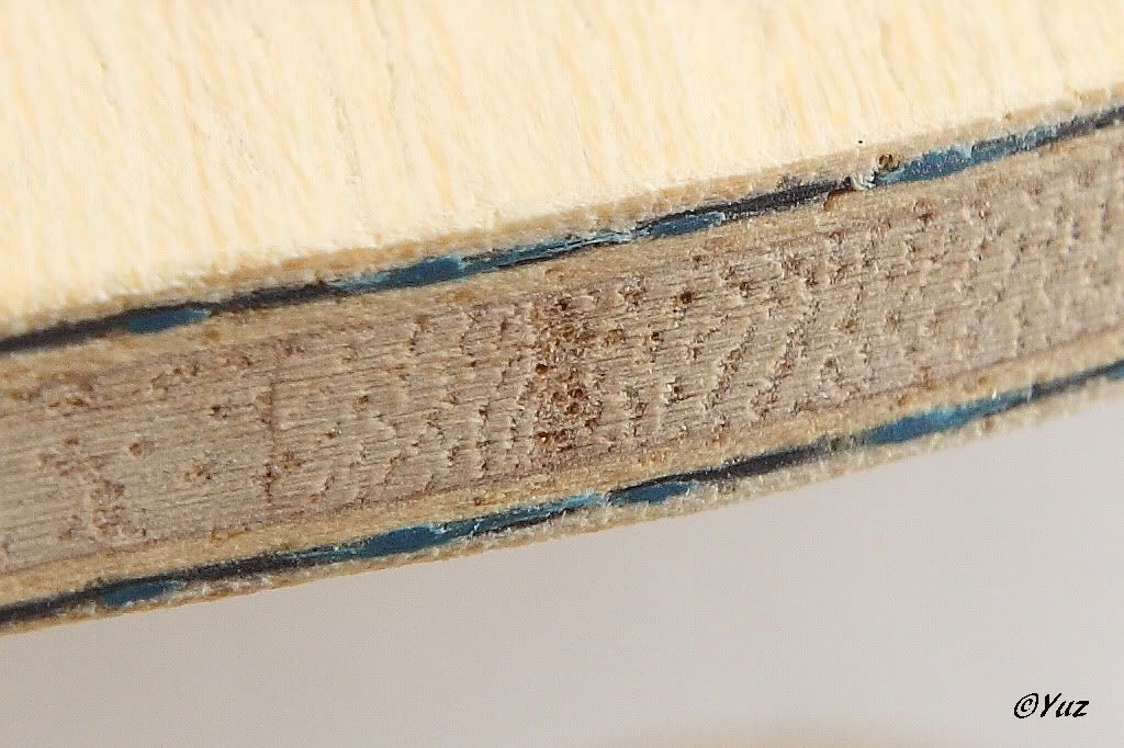 Timo Boll ALC review - OOAK Table Tennis Forum